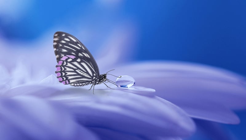 Hidden Stories Image